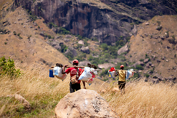 Image showing Malagasy porter carries belongings for tourists. Andringitra Mountains