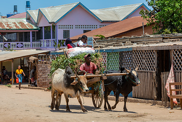 Image showing Ordinary Malagasy peoples on the busy street. Belo Sur Tsiribihina, Madagascar