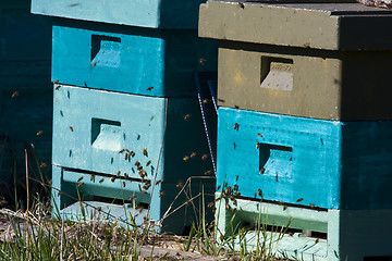 Image showing beehive