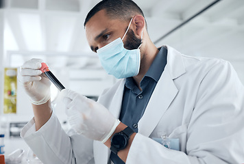 Image showing Covid, test tube and scientist in face mask doing research for medical dna, rna and data. Science expert working with vial of blood for analysis, tests and medicine innovation in pharmaceutical lab.