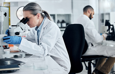 Image showing Laboratory woman, microscope or medical research of covid sample, cancer biopsy or DNA engineering analytics. Mature scientist with science equipment, healthcare innovation or insurance medicine idea