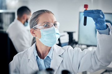 Image showing Blood test, lab research and scientist working on healthcare science development with face mask for security. Mature medical worker doing analysis on chemical liquid for future medicine in hospital