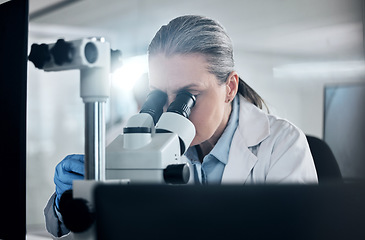 Image showing Scientist innovation with microscope for science research development or test in laboratory. Medical lens, biotechnology expert and analysis or studying sample in light for healthcare investigation