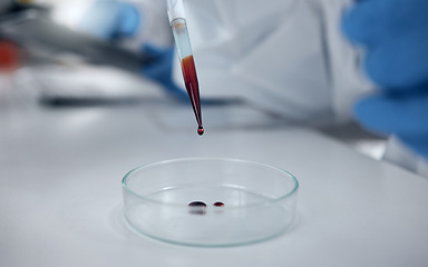 Image showing Blood test, lab research and scientist working on medical development for science on a table. Pharmaceutical doctor doing an analysis on liquid for medicine and healthcare innovation at a hospital