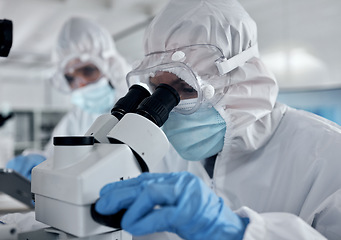 Image showing Hazmat suit scientist, microscope and laboratory research analysis, dna test and vaccine development of medical bacteria risk. Science expert team, chemistry workers and healthcare analytics with ppe