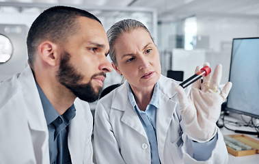 Image showing Science team or scientist with DNA blood for vaccine research test, analysis or investigation in laboratory. Healthcare worker or biotechnology expert with a sample for teamwork in medical innovation