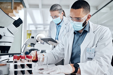 Image showing Science, blood sample and dna analysis, laboratory breakthrough and medical research. Professional scientist, red beaker and test tube for innovation, genetics and healthcare vaccine cure in medicine