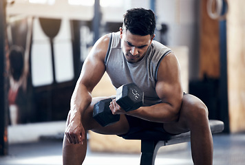 Image showing Fitness, gym and dumbbell of muscular man lifting weights for warm up exercise and workout. Strong male athlete in sports training and weightlifting for body building strength and health indoors