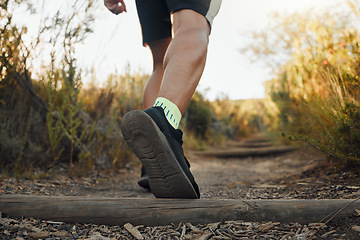 Image showing Legs, shoes or runner on nature path for cardio exercise, sports workout or marathon training on outdoor countryside. Fitness, motivation or wellness for walking man on freedom travel for body health