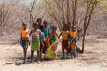 Image showing Group of children standing in a line in front of Baobab Amoureux, Morondava, Madagascar