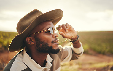 Image showing Sustainability, farm and agriculture with a black man or cowboy farmer chewing straw in a grass field or meadow. Sustainable, farming and sustainable with a young male working in organic ecology