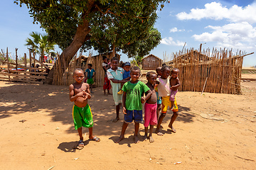 Image showing Curious group of children looking at a tourist near the river Mania. Port Bac Belo Sur Tsiribihina, Madagascar