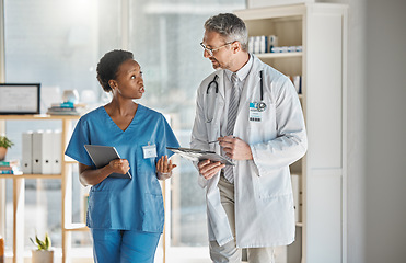 Image showing Hospital doctor and student nurse communication in office for information on patient record. Professional expert and healthcare man in conversation with nursing worker on medical diagnosis.