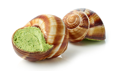 Image showing escargot snail filled with garlic and parsley butter