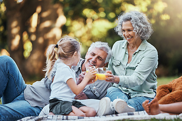 Image showing Juice, vitamin c and family picnic with child and grandparents for healthy growth development, outdoor wellness lifestyle. Senior grandmother, elderly people and girl with orange drink in bokeh park