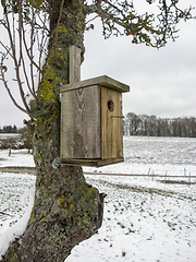 Image showing wooden bird box