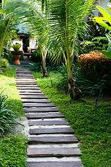 Image showing Garden path