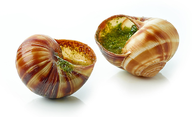 Image showing escargot snail stuffed with garlic and parsley butter