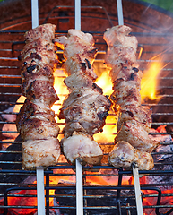 Image showing grilled marinated pork meat skewers