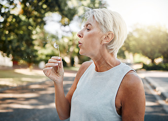 Image showing Senior woman blowing dandelion flower outdoors for freedom, hope and spring allergies environment. Elderly retirement lady holding plant for wellness, healthy lifestyle and pollen allergy in nature