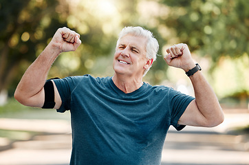 Image showing Running, senior man and success celebration in nature, park or outdoors after winning, target or goal achievement. Workout, sports and health exercise runner, fitness training or marathon race win.