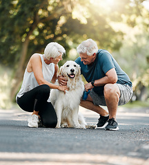 Image showing Dog walk, nature and senior couple walking their pet for exercise on a road in Germany together. Happy, calm and healthy elderly man and woman training their animal on a street park in summer