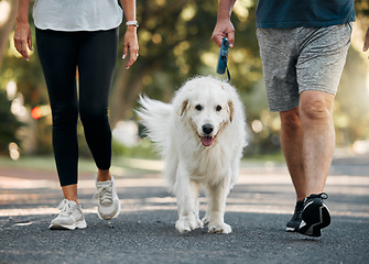 Image showing Couple walking the dog in a park for exercise, fitness and workout. Senior man and woman together taking pet for walk outdoors on leash. Leisure activity for wellness, active and healthy lifestyle