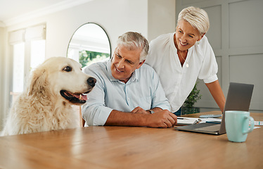 Image showing Happy senior couple in Australia home with dog, elderly man planning retirement budget on laptop and internet connection. Research finance in living room, pet relax in family time and woman smile