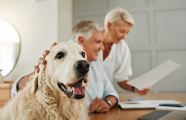 Image showing Senior, elderly couple and dog pet of people in a home looking at contracts and documents. Happiness of a man, woman and animal in retirement looking at life insurance policy paperwork or document