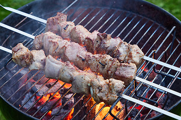 Image showing grilled marinated pork meat skewers