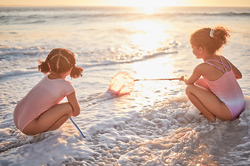 Image showing Children, girls and fishing with nets at the beach in playful fun on summer vacation in the outdoors. Little girl siblings playing and exploring the ocean in low tide to catch fish in the sunset