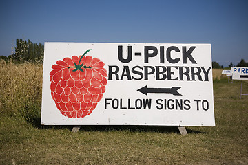 Image showing U Pick Rasberry Sign