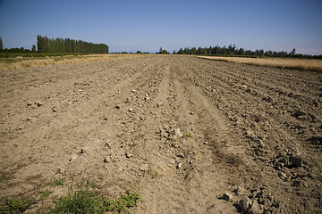 Image showing Ploughed Field