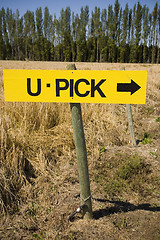 Image showing U Pick Sign