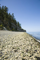 Image showing Port Williams Beach