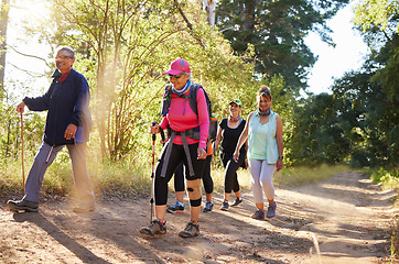 Image showing Hiking, walking and senior women in a forest or woods on a hiking trail together. Group of old women doing exercise, workout and fitness in retirement to keep active. Friends taking a walk in nature