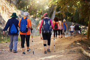 Image showing Fitness, health and hiking with people in forest for workout and walking in nature for wellness, park and freedom. Summer, exercise and training with elderly friends or trekking group in woods