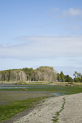 Image showing Cline Spit Beach