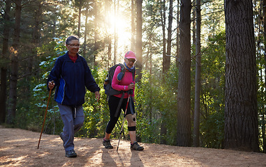 Image showing Forest, fitness and old couple hiking in nature with trekking sticks with backpacks on a mountain trail. Retirement, hikers and elderly woman walking with senior partner outdoors in woods in Peru