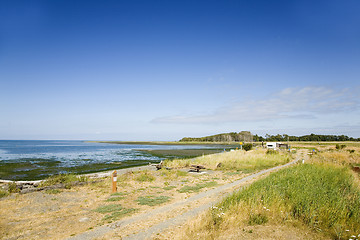 Image showing Cline Spit Beach