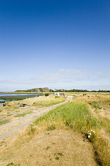 Image showing Cline Spit Beach