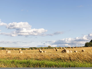 Image showing an agricultural field