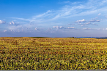 Image showing an agricultural field