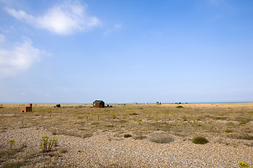 Image showing Pebble beach