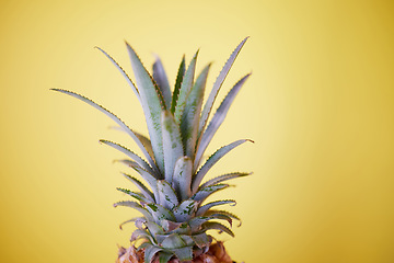 Image showing Pineapple, fruit and summer, health and nutrition, tropical and fresh with yellow background. Exotic and refreshing mockup, vibrant closeup of advertising and marketing for healthy lifestyle.