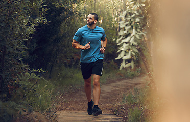 Image showing Running, fitness man and forest run on a trail for exercise, workout and training in nature for health and wellness. Athlete man out jogging or active in the woods with trees and fresh air for cardio