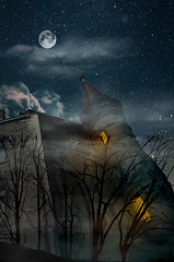 Image showing Fantasy, architecture and castle with moon and the night sky for creative medieval building with design, halloween and horror. Fog, clouds and trees with stone mansion for scary, forest and dark art