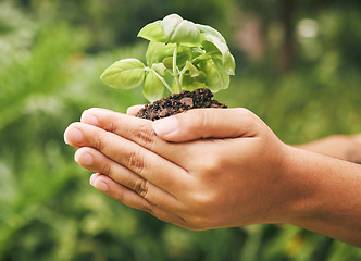 Image showing Plant, growth and hands in support of sustainability, agriculture and start of gardening project on a blurred green background. Natural environment, farming and ecology for carbon footprint in nature