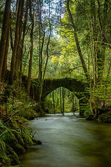 Image showing Old rock bridge over Filveda river