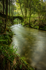 Image showing Old rock bridge over Filveda river